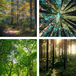 Seeds of Change - A Journey Through the Seasons